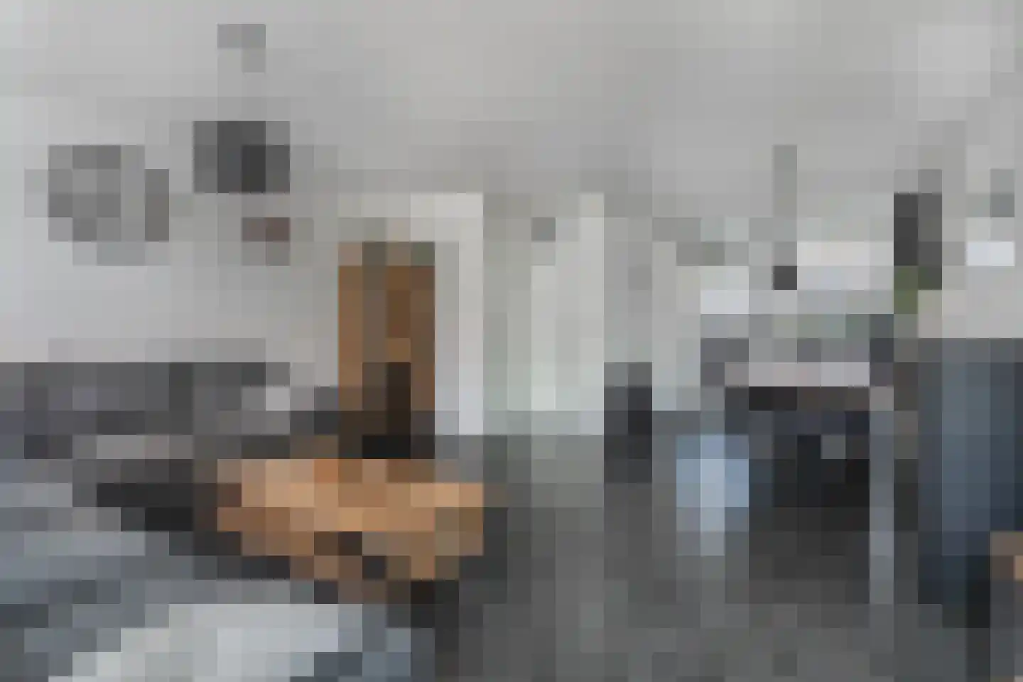 Hoogsdenhof 1 Zaltbommel thumbnail 19