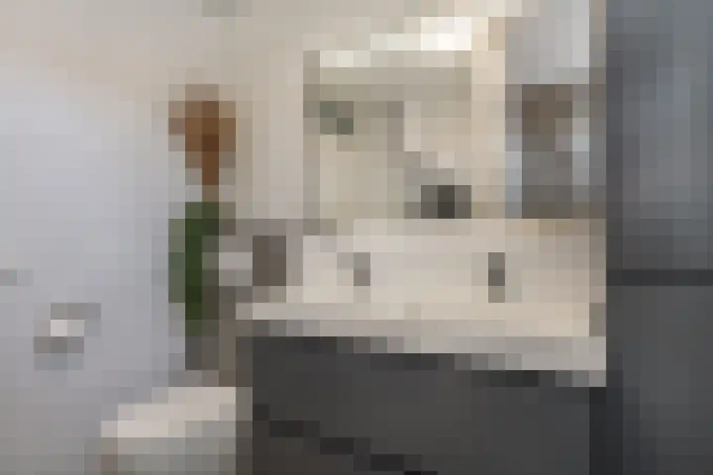 Hoogsdenhof 1 Zaltbommel thumbnail 21