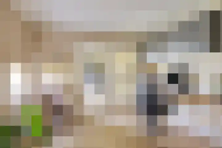 Hoogsestraat 1 Valburg thumbnail 15