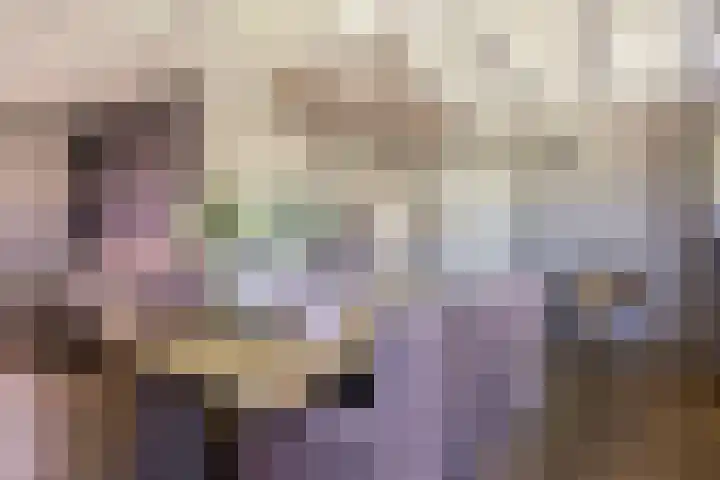 Hoogsestraat 1 Valburg thumbnail 25