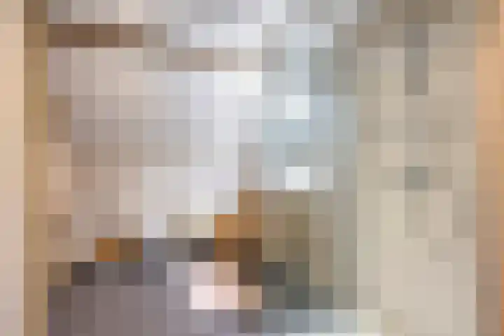 Hoogsestraat 1 Valburg thumbnail 69