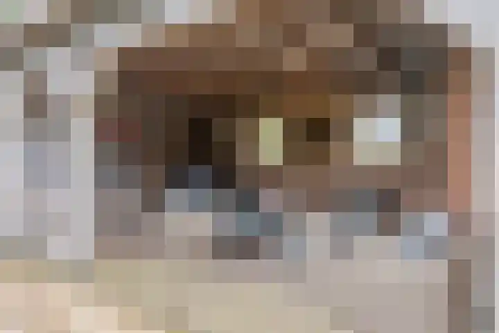 Hoogsestraat 1 Valburg thumbnail 92