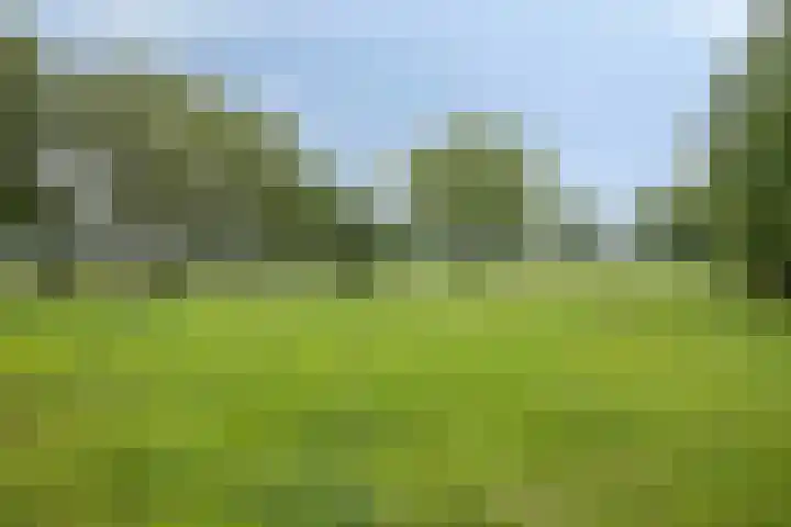 Hoogsestraat 1 Valburg thumbnail 97