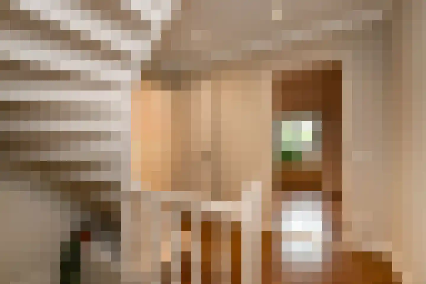 Hoogsestraat 3 b Valburg thumbnail 17