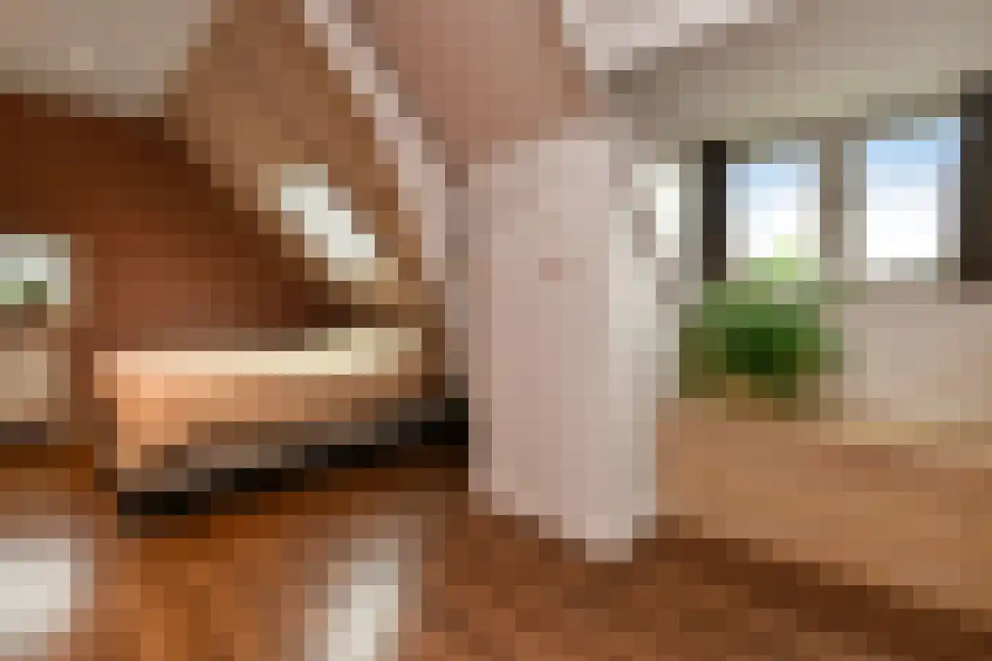 Hoogsestraat 3 b Valburg thumbnail 18