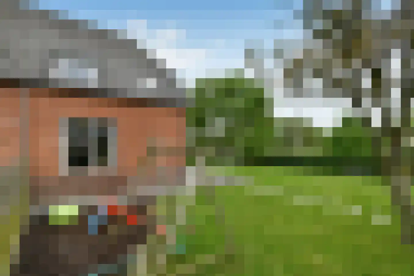 Hoogsestraat 3 b Valburg thumbnail 36
