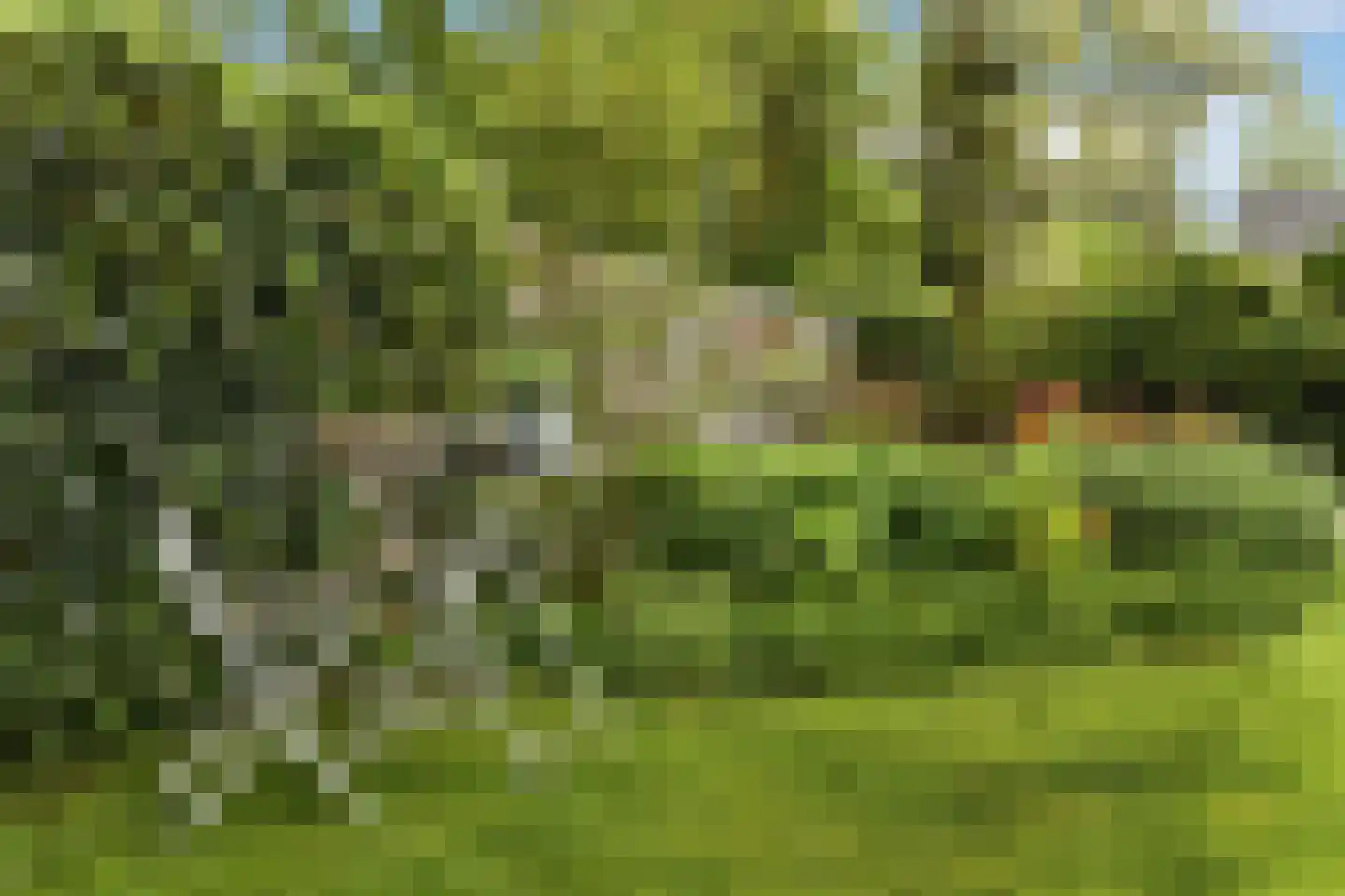 Hoogsestraat 3 b Valburg thumbnail 41