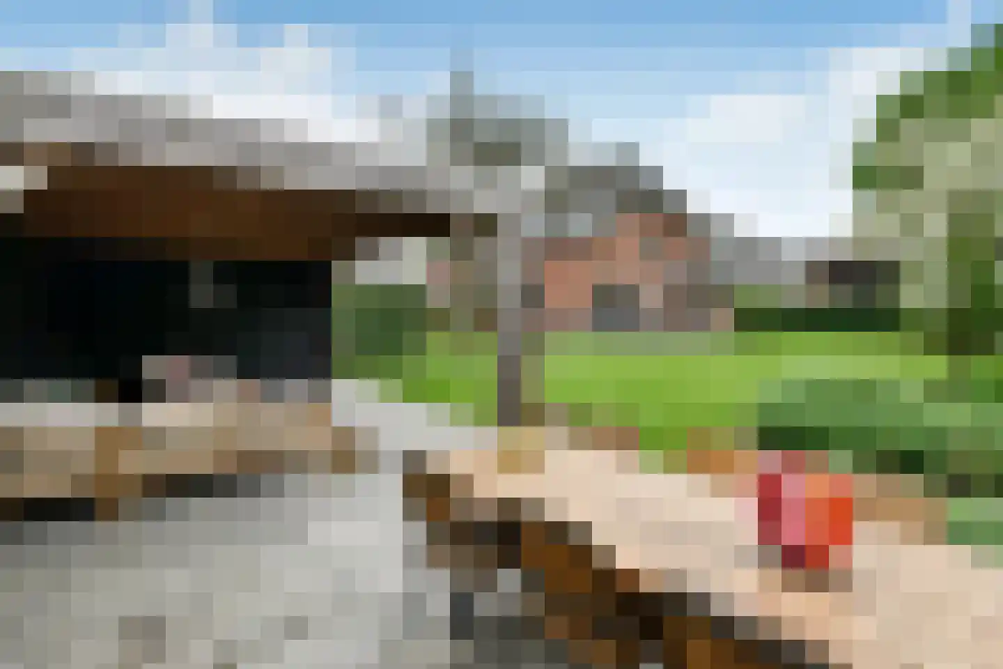 Hoogsestraat 3 b Valburg thumbnail 44