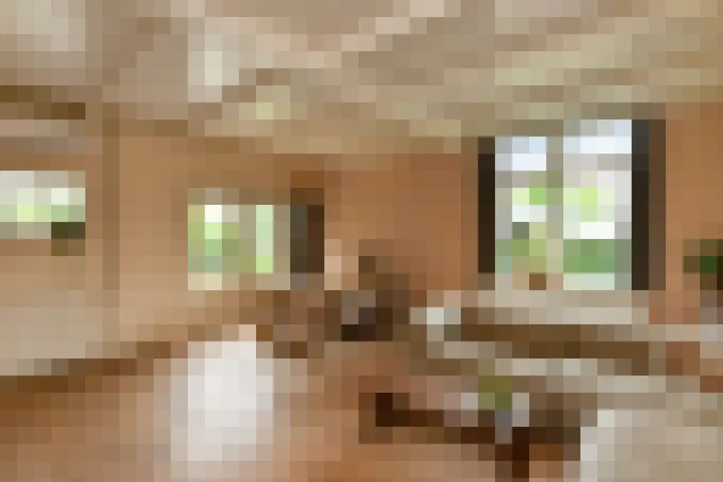 Hoogsestraat 3 b Valburg thumbnail 7