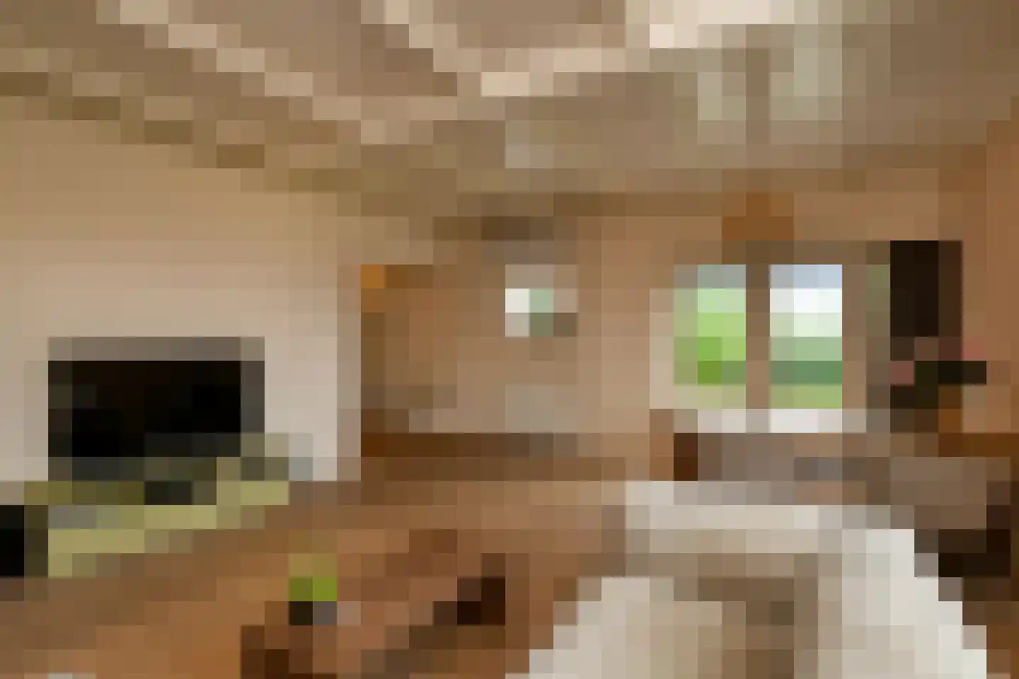 Hoogsestraat 3 b Valburg thumbnail 8