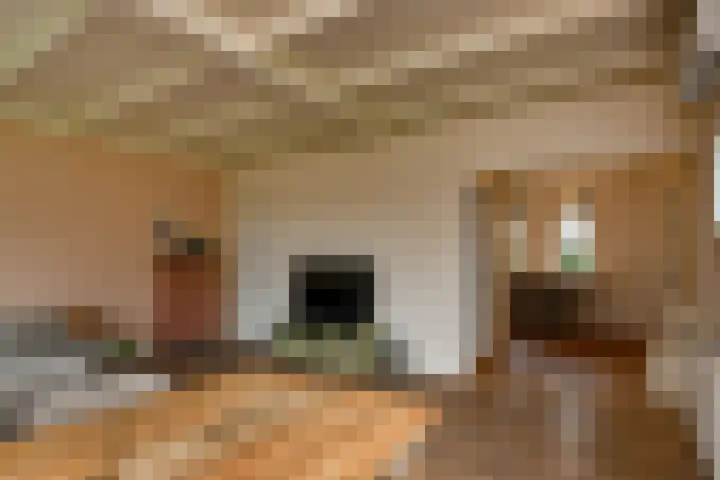 Hoogsestraat 3 b Valburg thumbnail 9