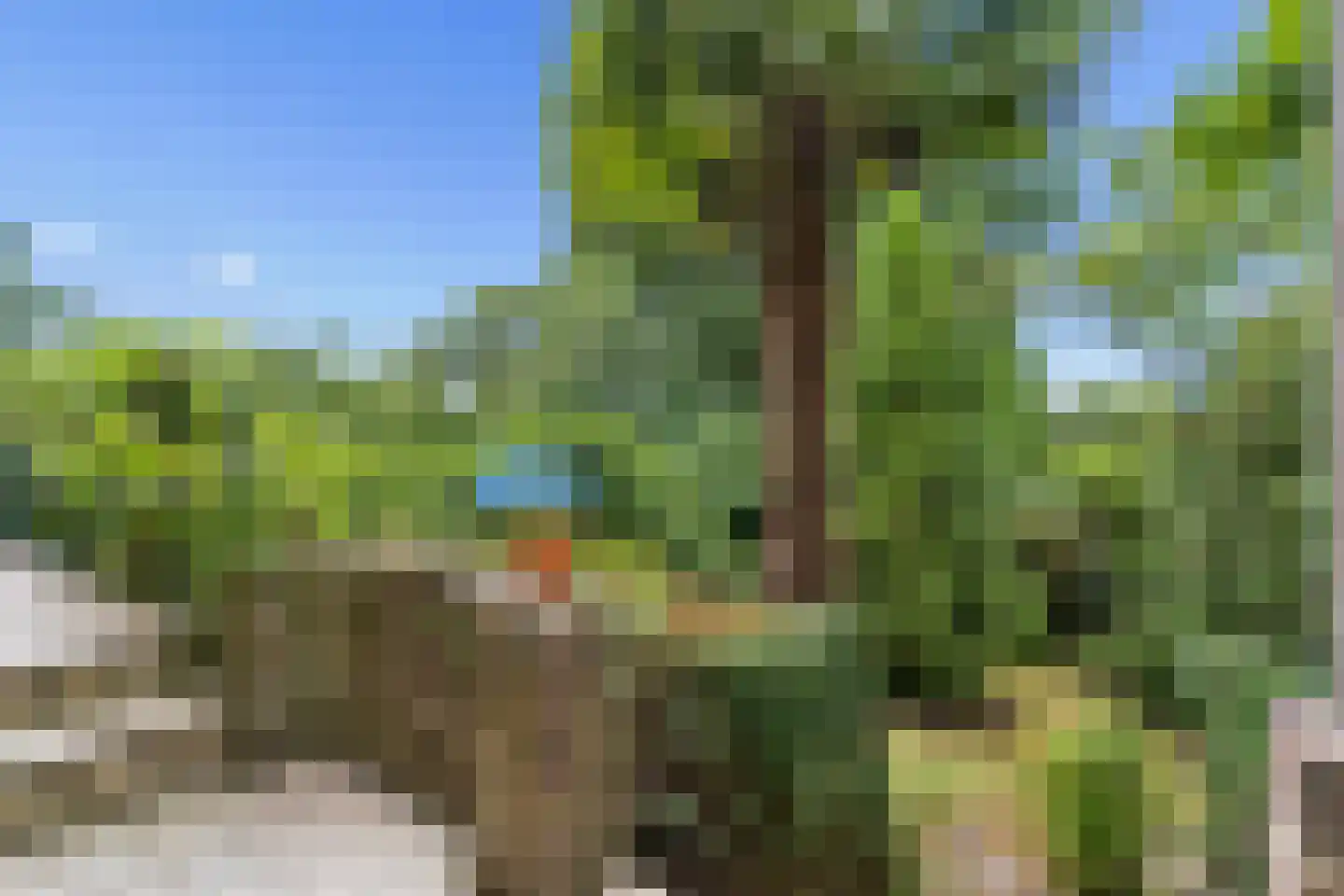 Hoogstedelaan 83 Arnhem thumbnail 15