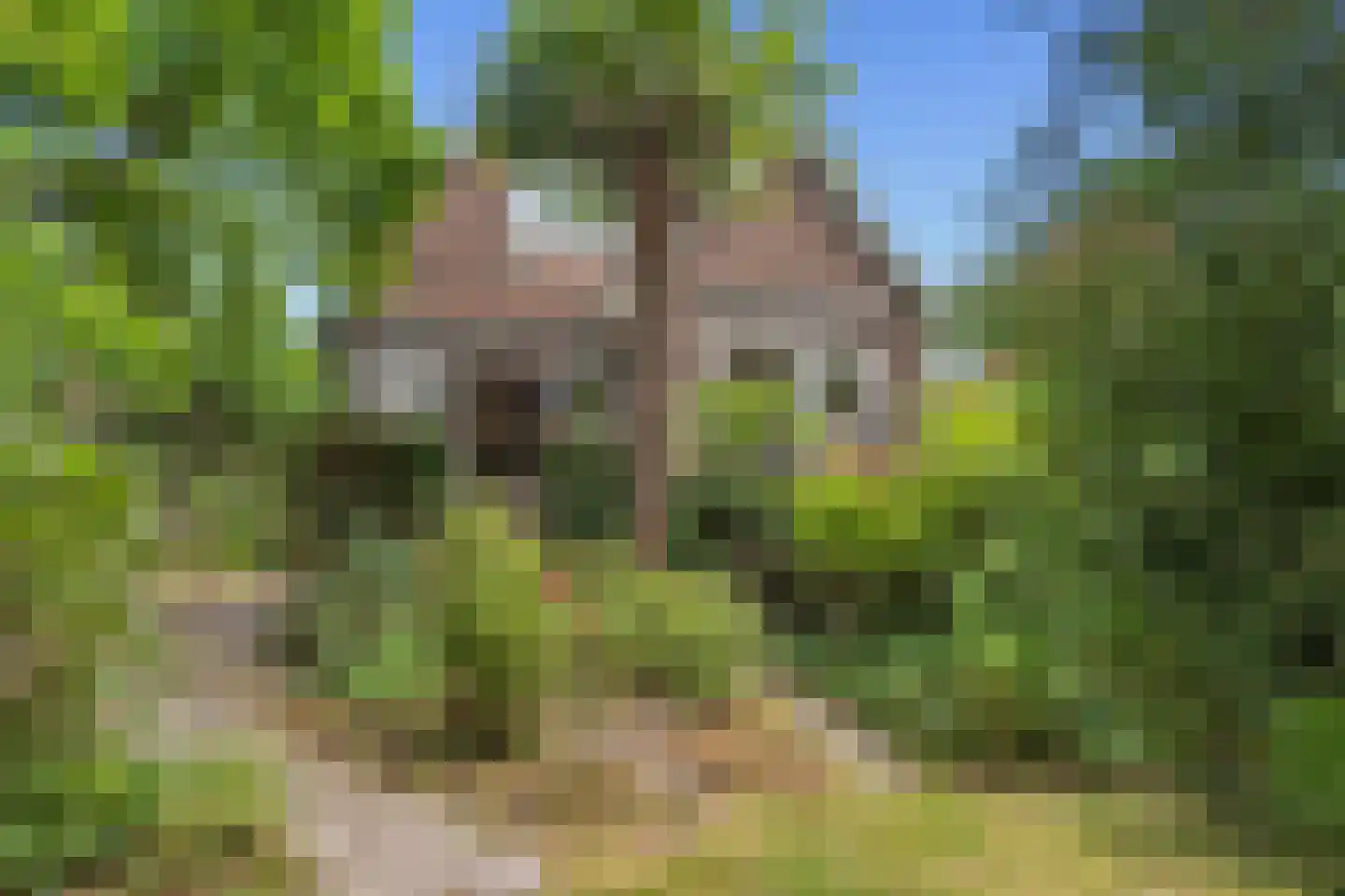 Hoogstedelaan 83 Arnhem thumbnail 17