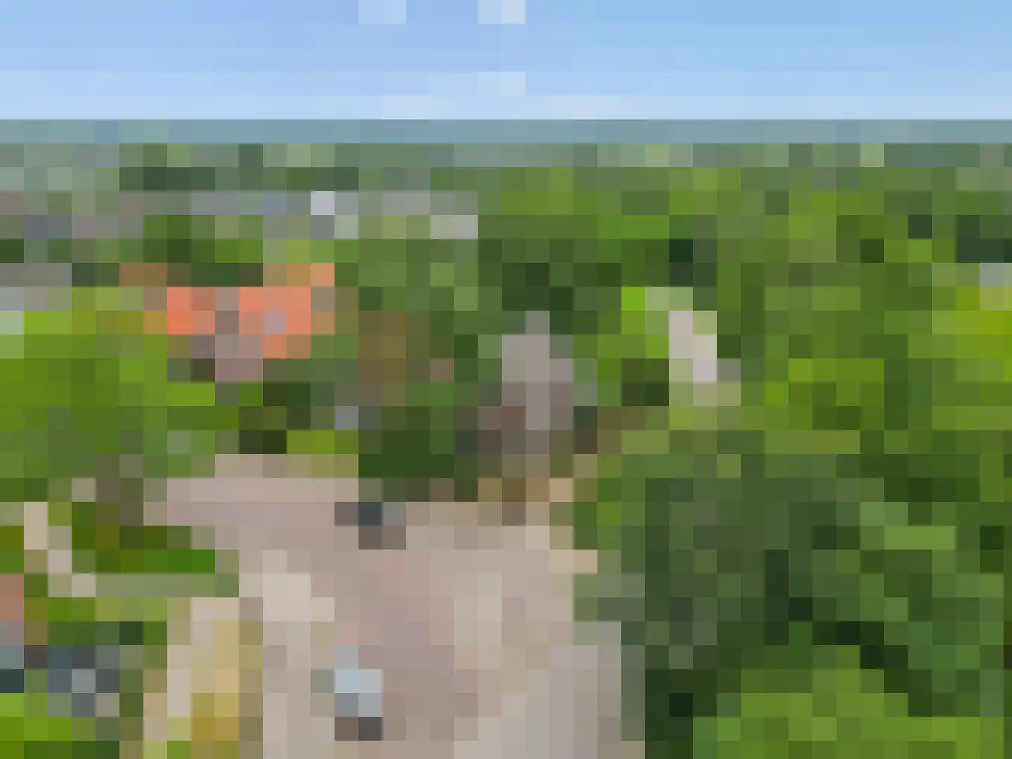 Hoogstedelaan 83 Arnhem thumbnail 18