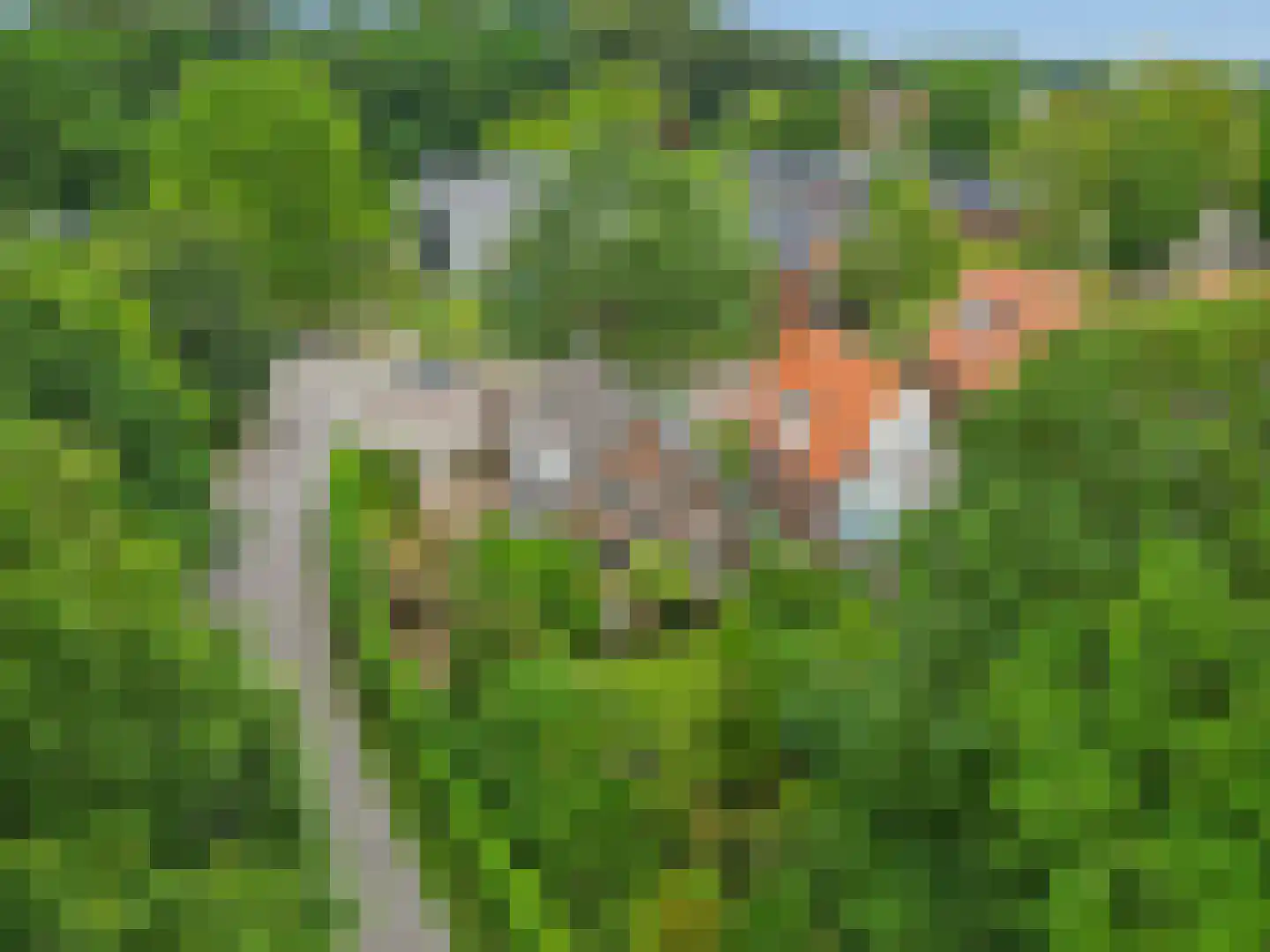 Hoogstedelaan 83 Arnhem thumbnail 19
