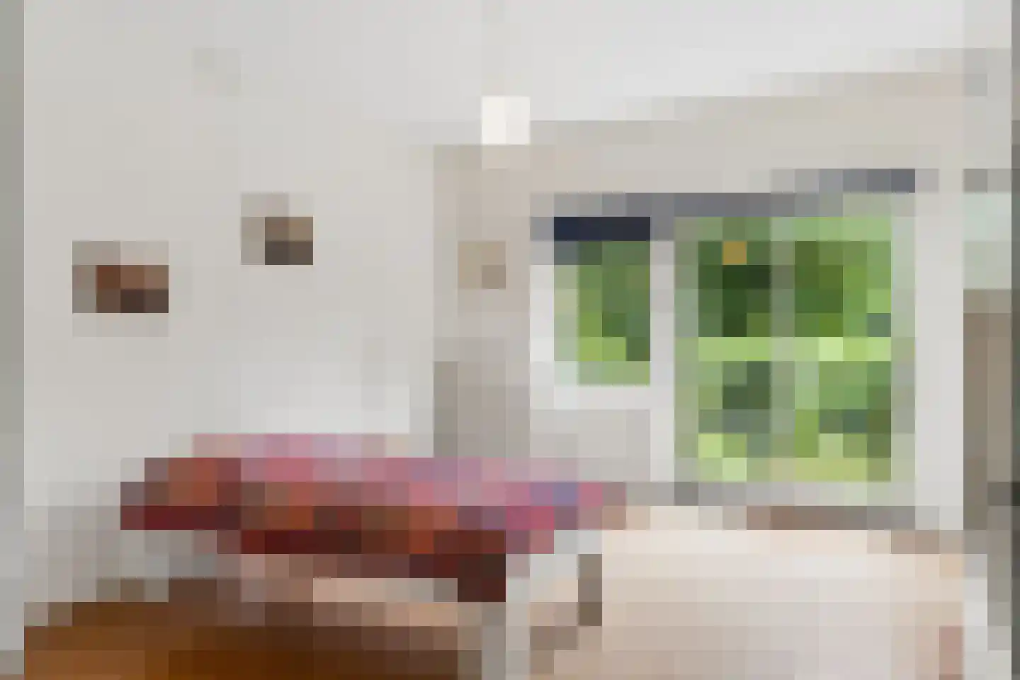 Hoogstedelaan 83 Arnhem thumbnail 23