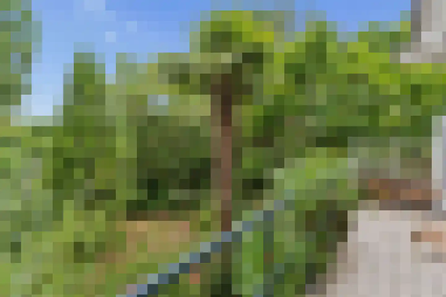 Hoogstedelaan 83 Arnhem thumbnail 24