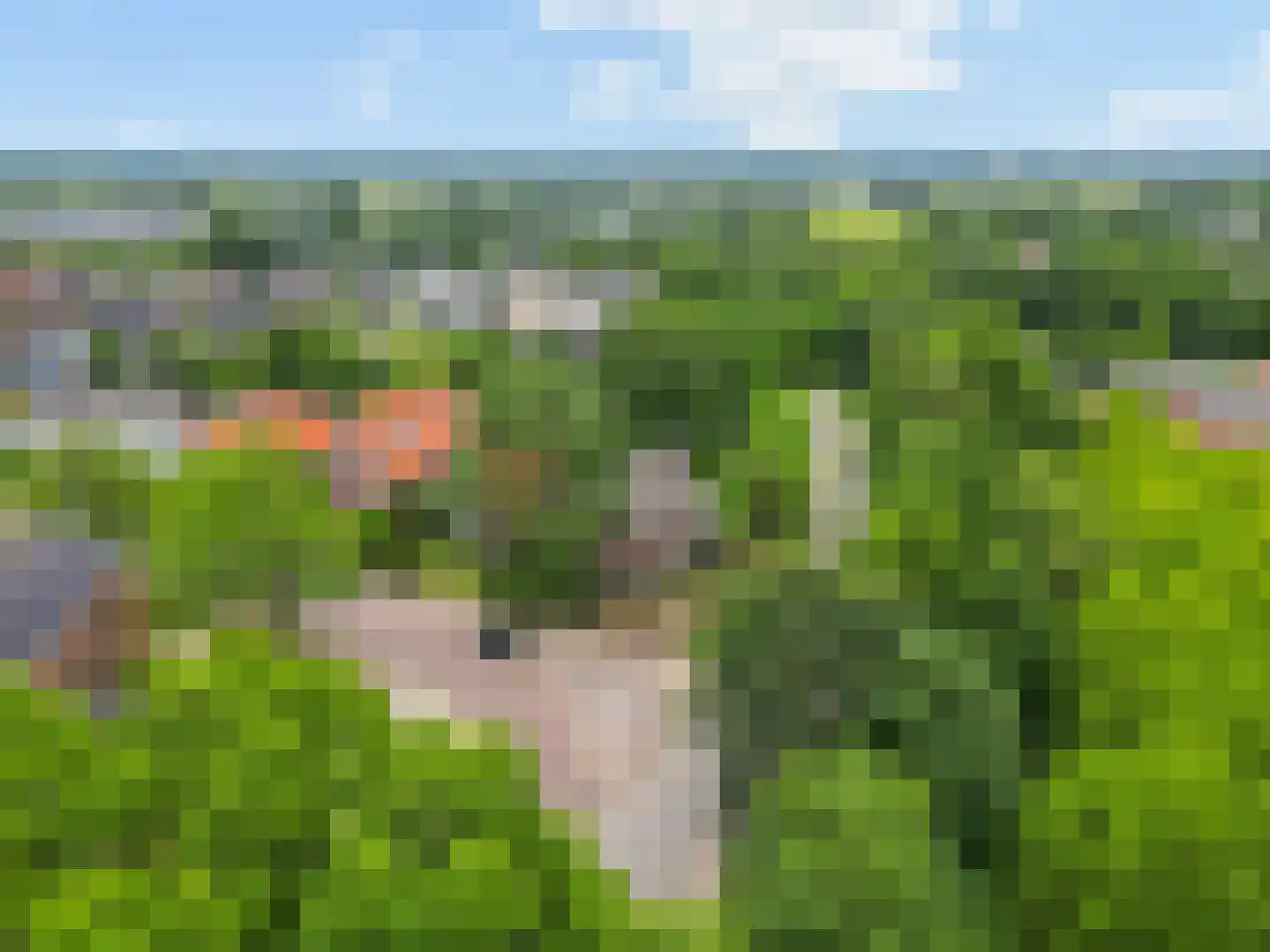 Hoogstedelaan 83 Arnhem thumbnail 45
