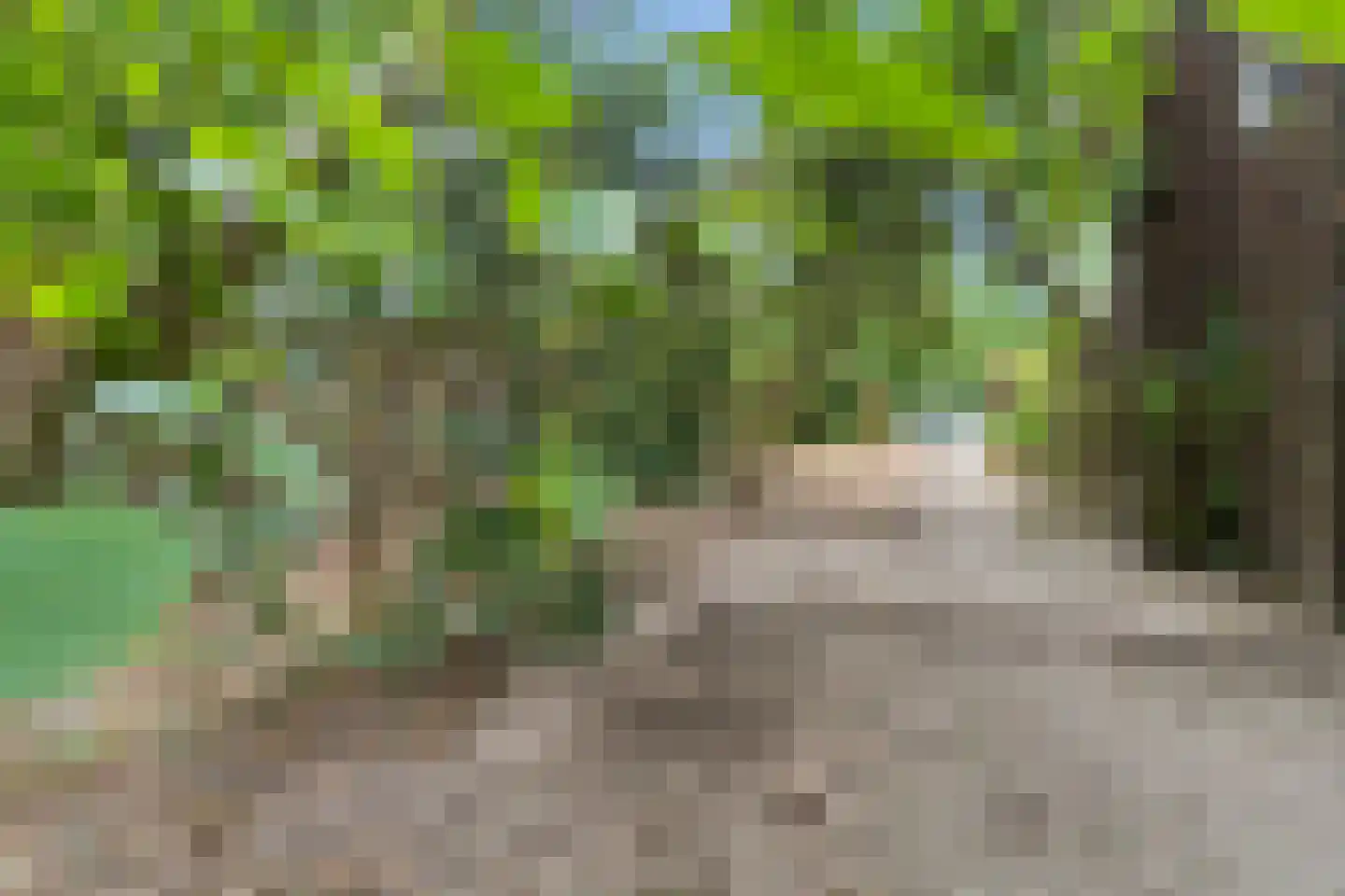 Hoogstedelaan 83 Arnhem thumbnail 47