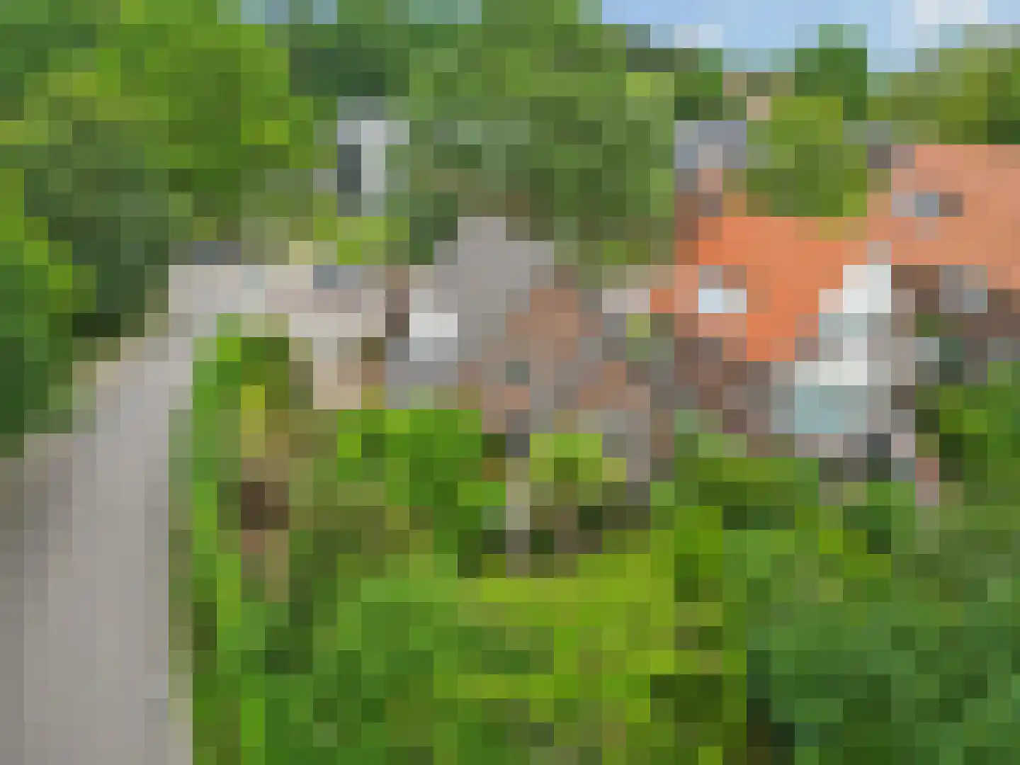 Hoogstedelaan 83 Arnhem thumbnail 48