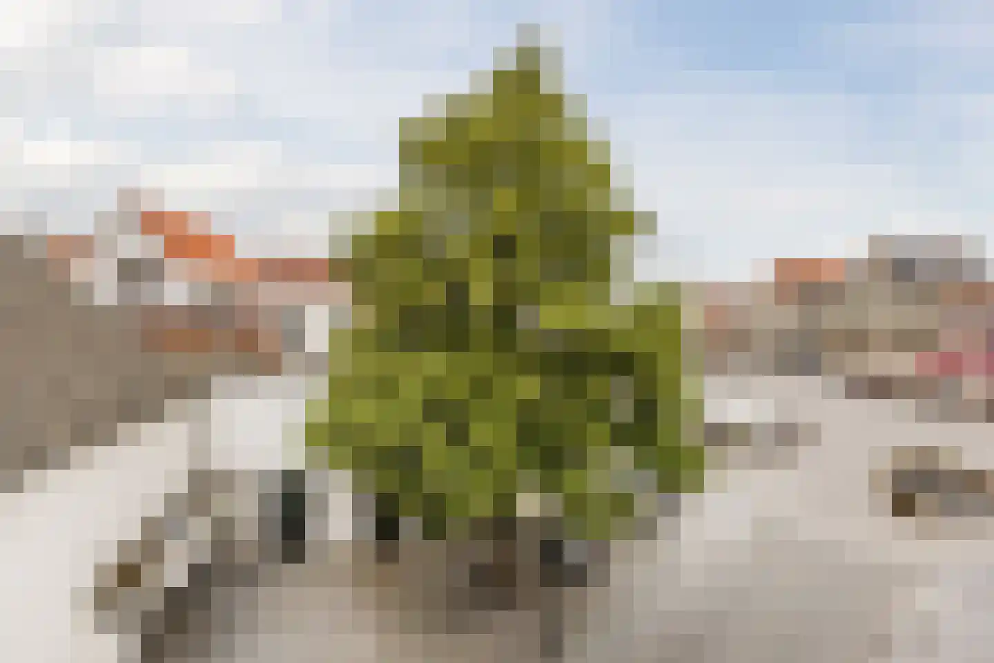 Hoogstraat 1 a Bergen op Zoom thumbnail 26