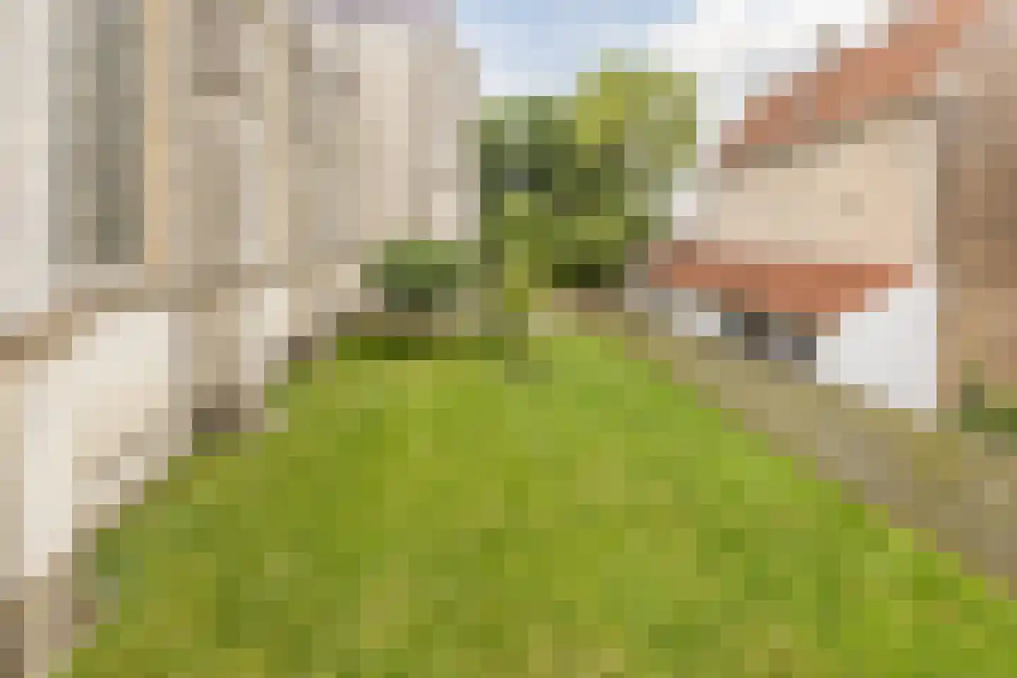 Hoogstraat 1 a Bergen op Zoom thumbnail 27