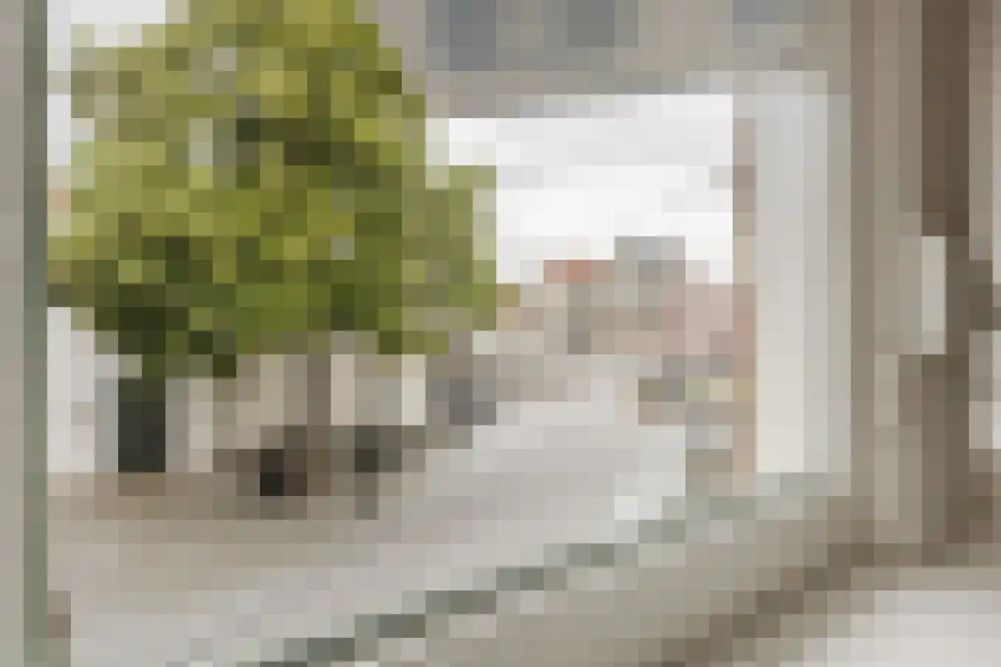 Hoogstraat 1 a Bergen op Zoom thumbnail 9