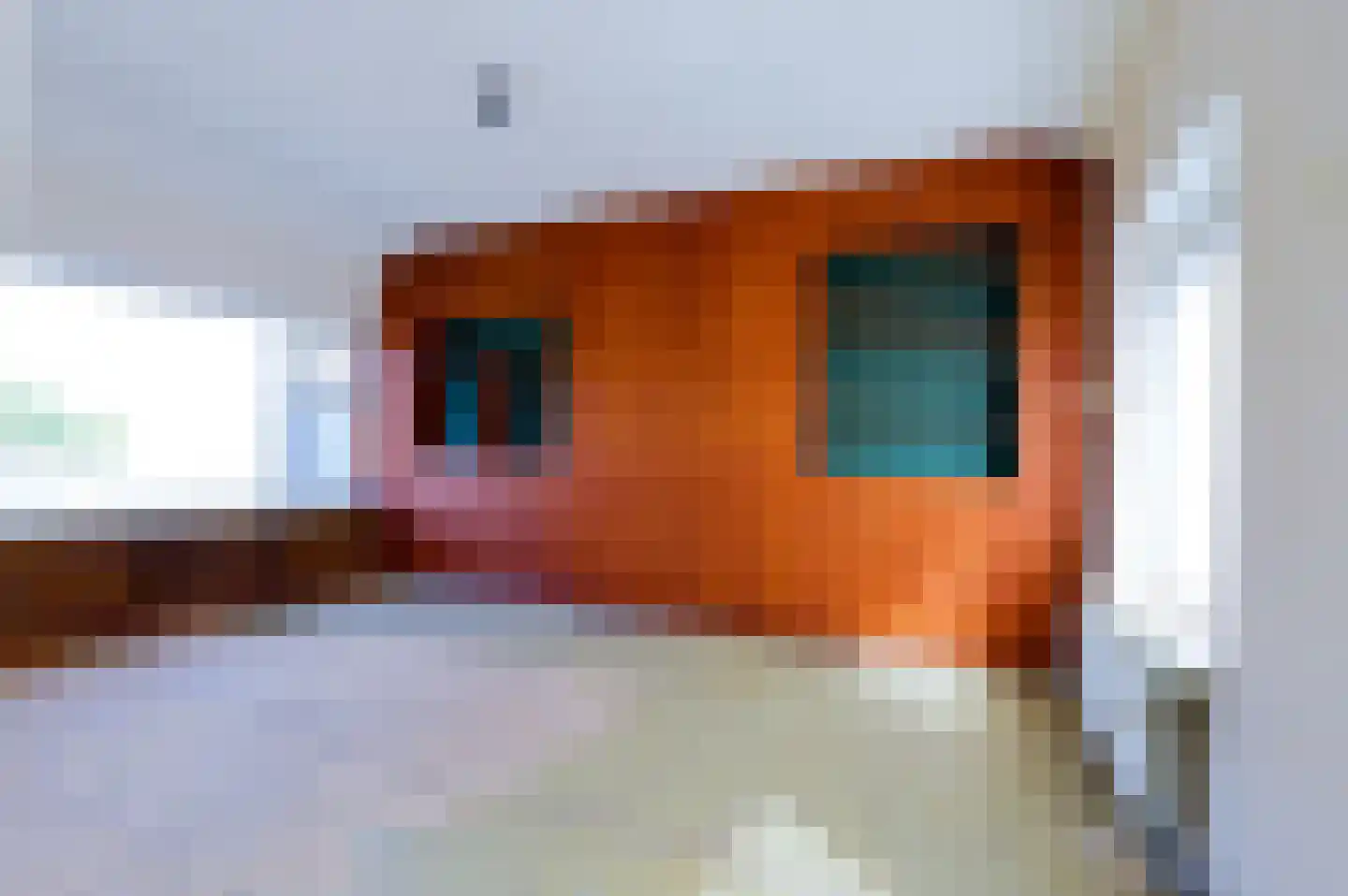 Hoogstraat 1 Biervliet thumbnail 13