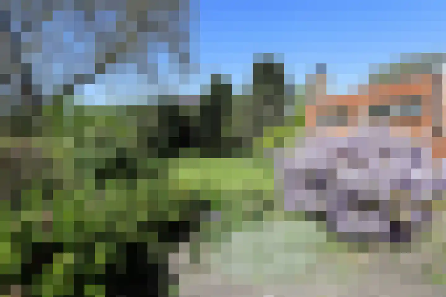 Hoogstraat 1 Biervliet thumbnail 18
