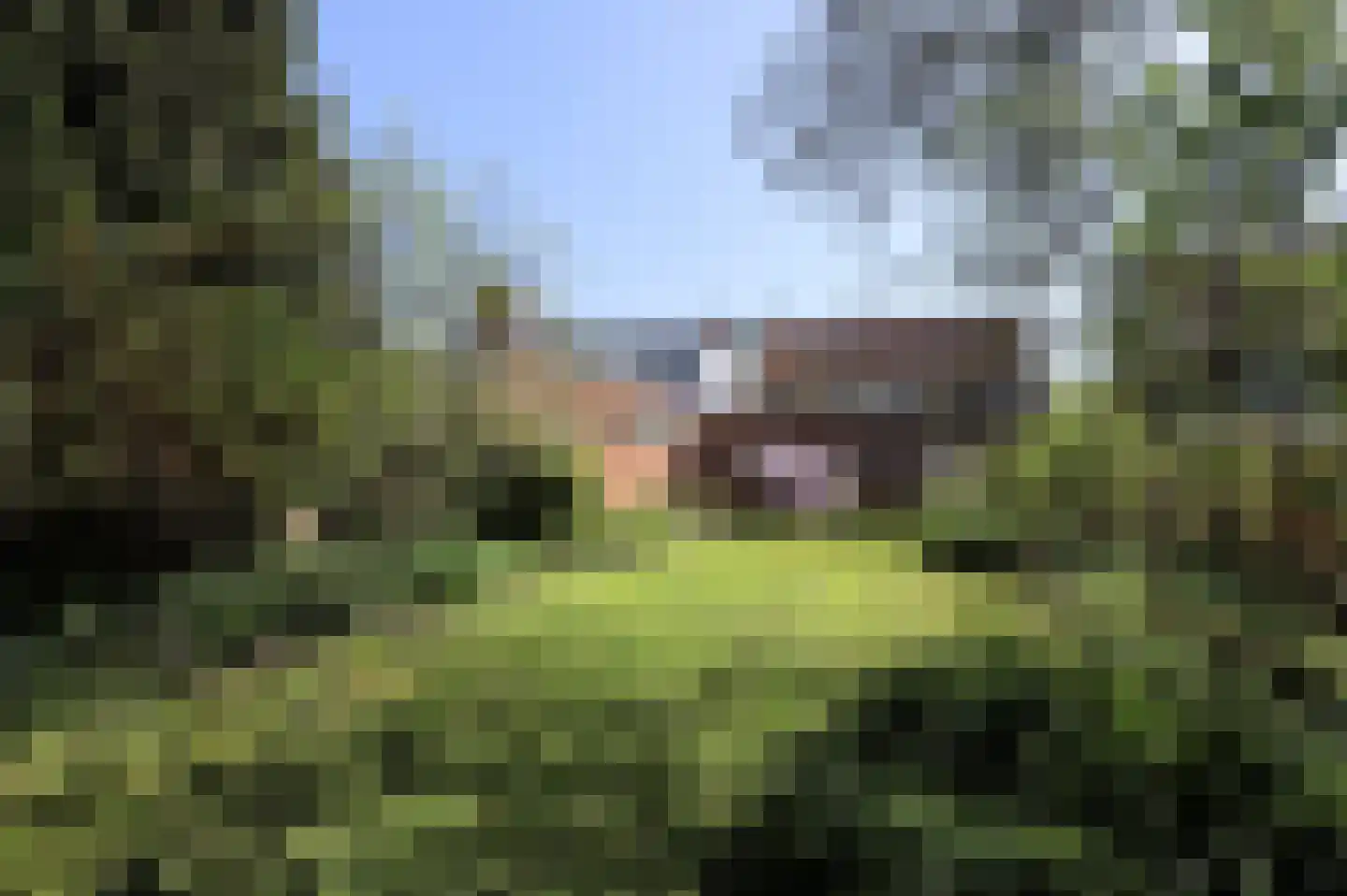 Hoogstraat 1 Biervliet thumbnail 21