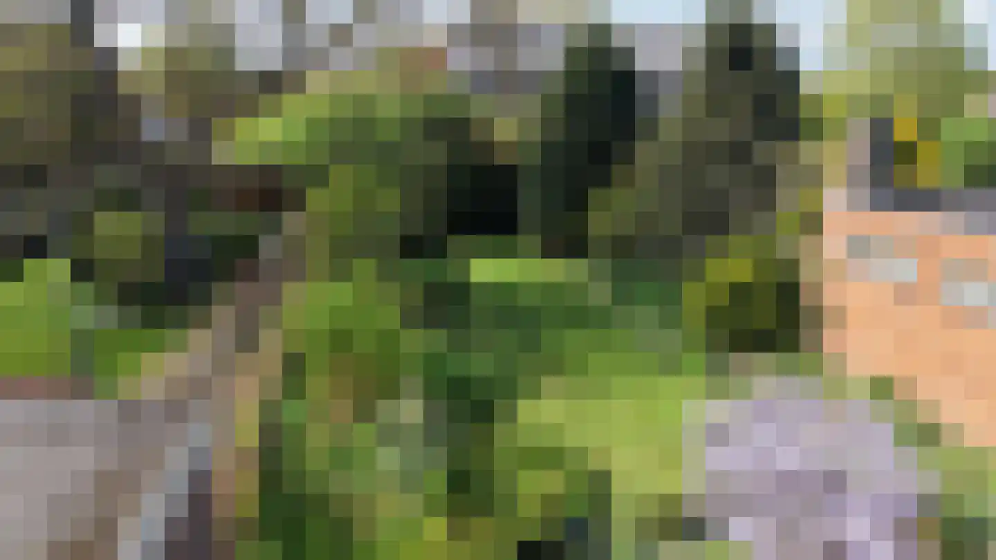 Hoogstraat 1 Biervliet thumbnail 22