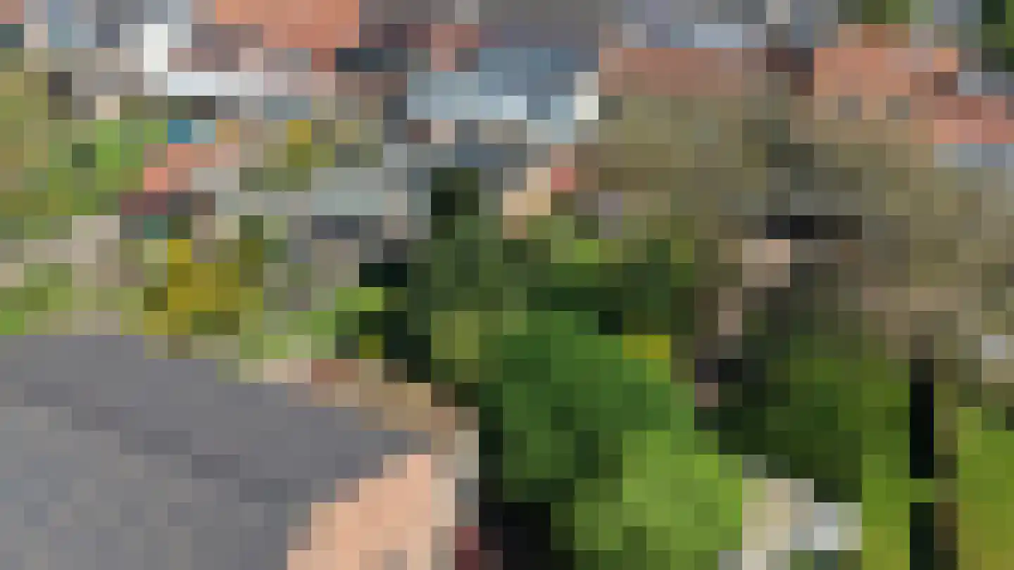 Hoogstraat 1 Biervliet thumbnail 24