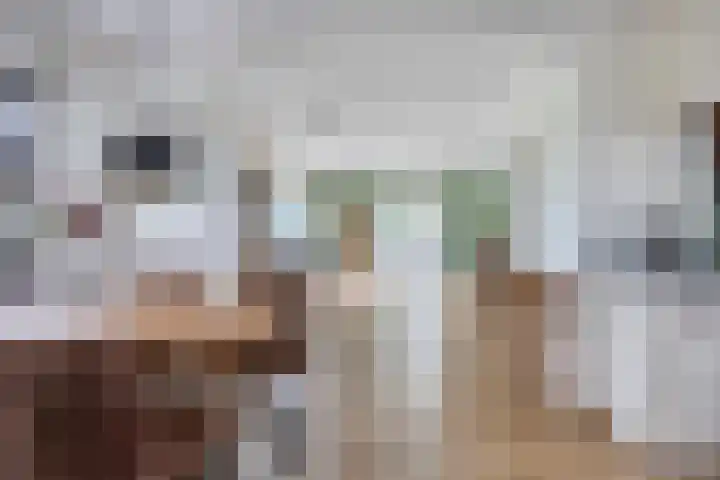 Hoogstraat 1 Maasbommel thumbnail 15