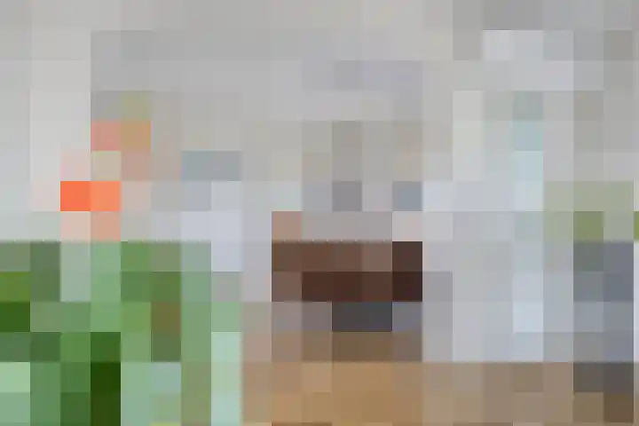 Hoogstraat 1 Maasbommel thumbnail 24