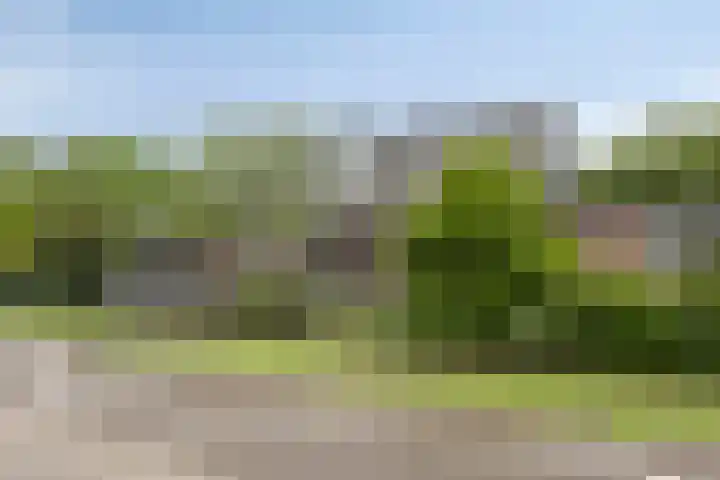 Hoogstraat 1 Maasbommel thumbnail 6