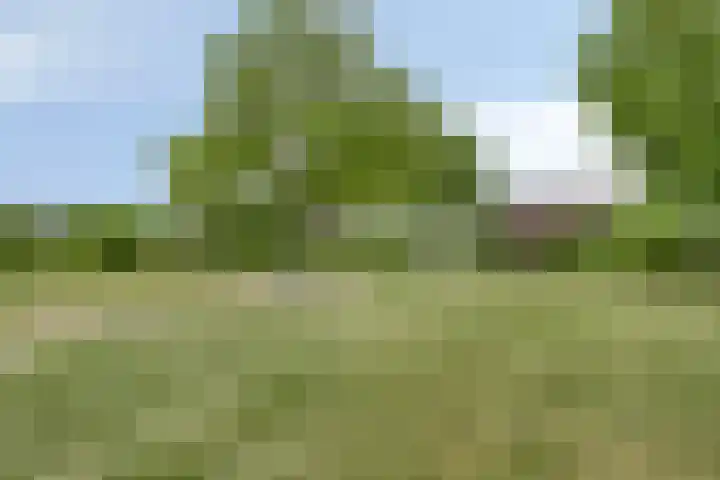 Hoogstraat 1 Maasbommel thumbnail 70
