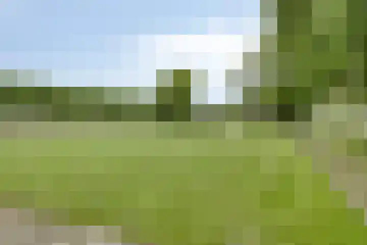 Hoogstraat 1 Maasbommel thumbnail 77
