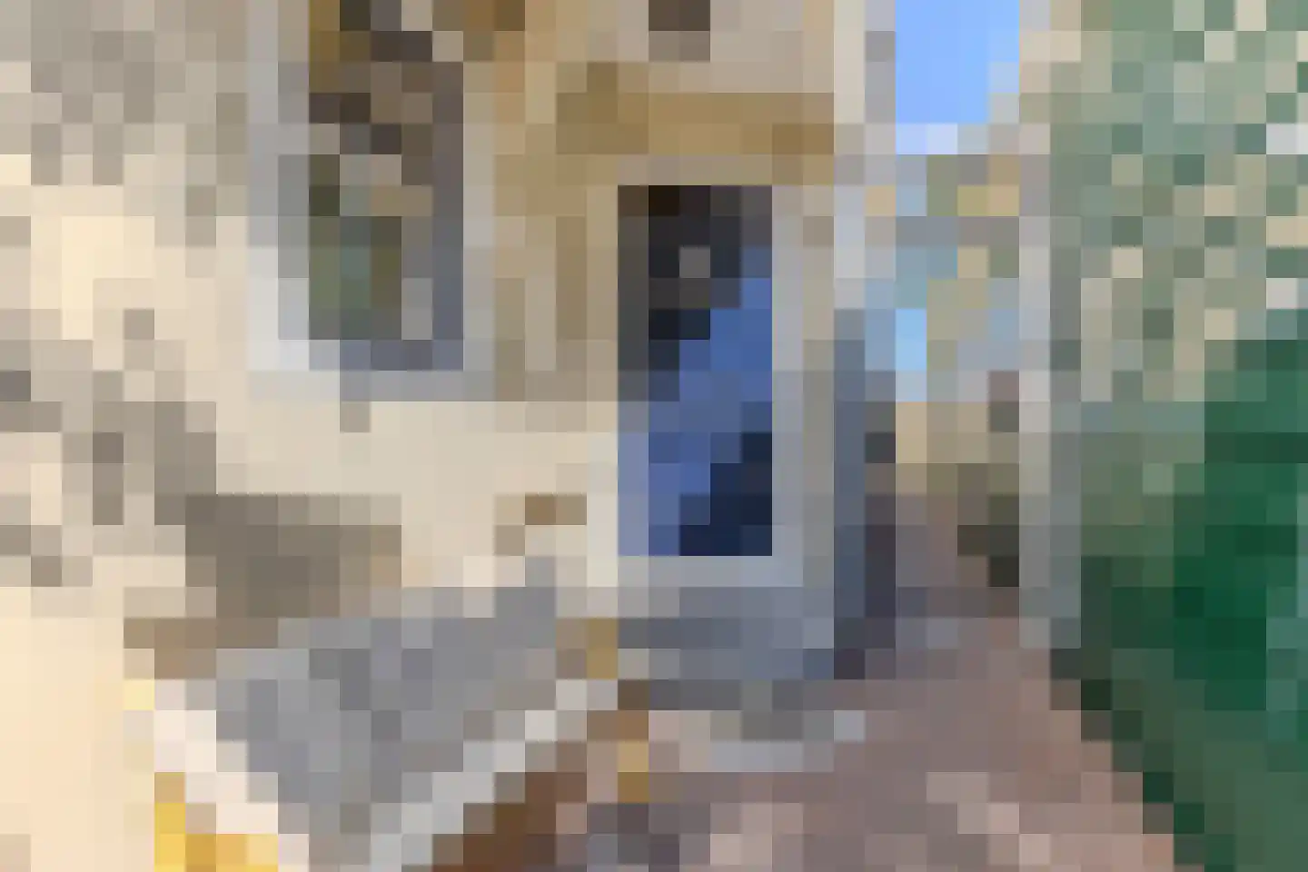 Hoogstraat 10 A Koog aan de Zaan thumbnail 9