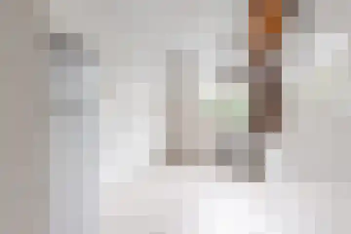 Hoogstraat 10 Berlicum thumbnail 11