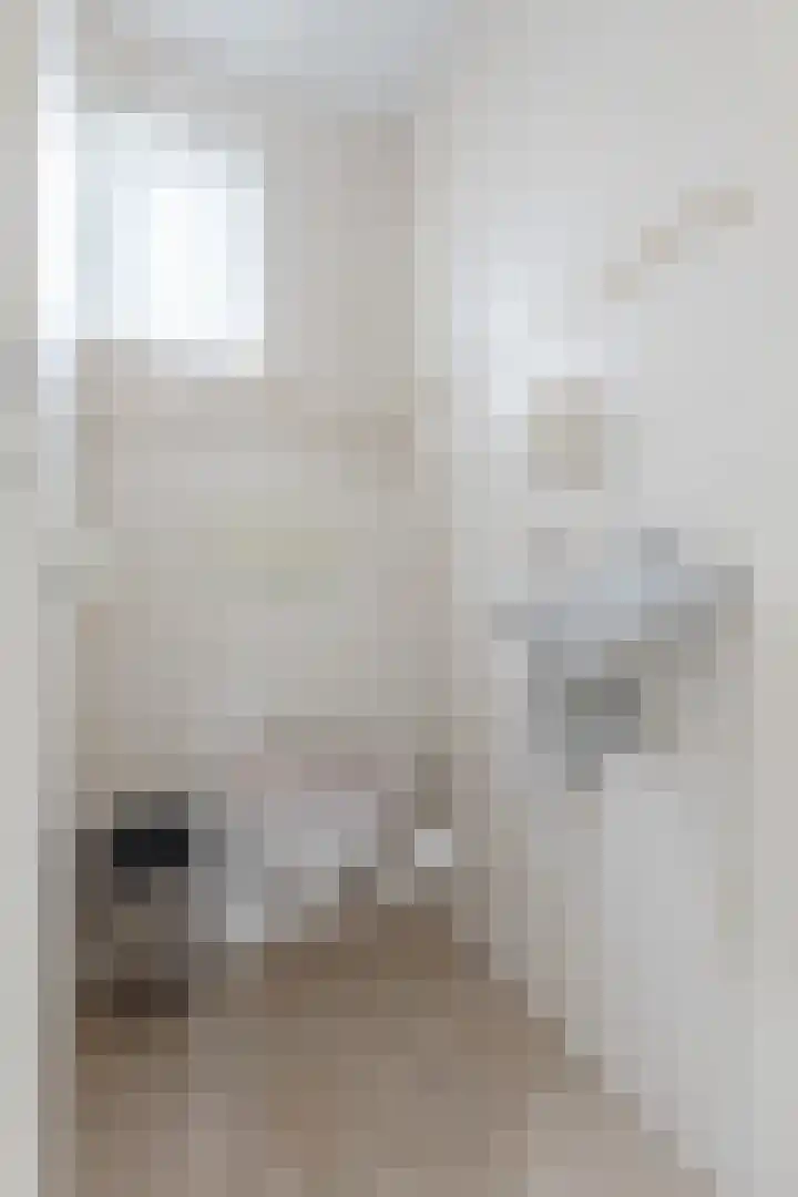 Hoogstraat 10 Berlicum thumbnail 12