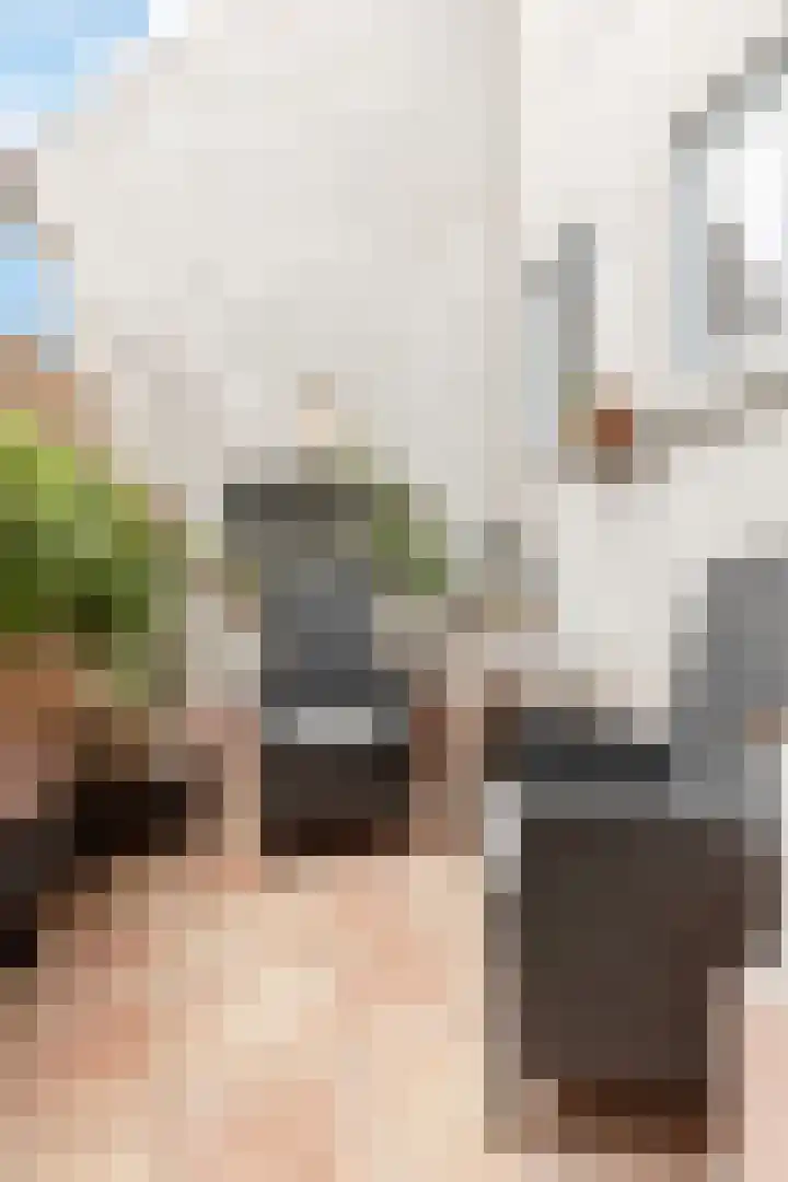 Hoogstraat 10 Berlicum thumbnail 16