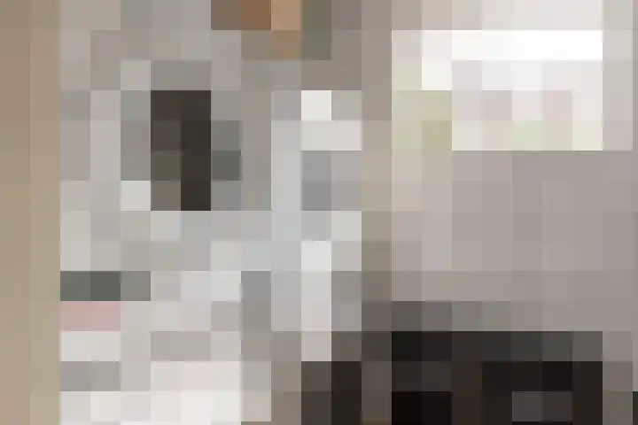 Hoogstraat 10 Berlicum thumbnail 19