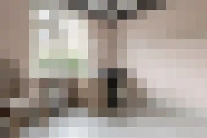 Hoogstraat 10 Berlicum thumbnail 20