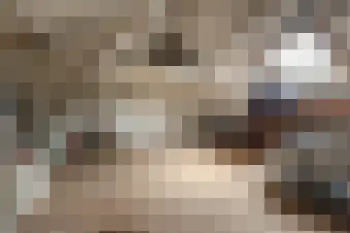 Hoogstraat 10 Berlicum thumbnail 38