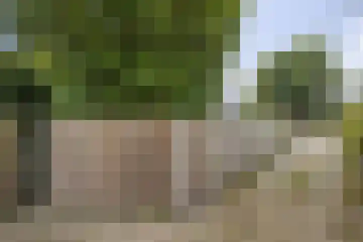 Hoogstraat 10 Berlicum thumbnail 39
