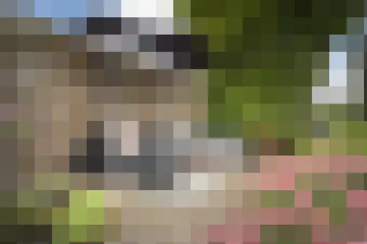 Hoogstraat 10 Berlicum thumbnail 40