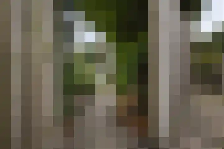 Hoogstraat 10 Berlicum thumbnail 41