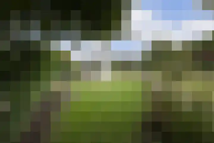 Hoogstraat 10 Berlicum thumbnail 45
