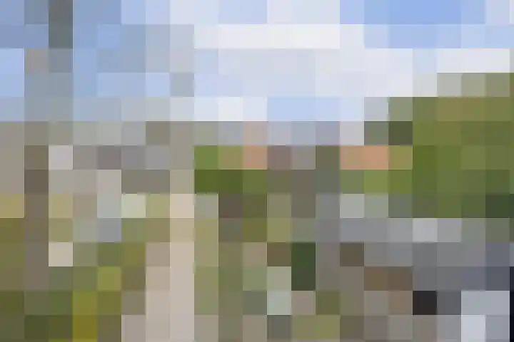 Hoogstraat 10 Berlicum thumbnail 46