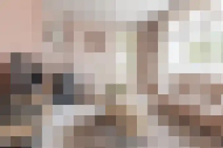 Hoogstraat 10 Berlicum thumbnail 7